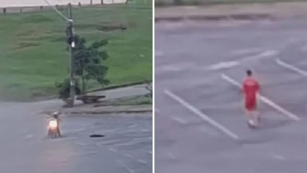 Bombeiro mata cachorro após ataque em Goiânia