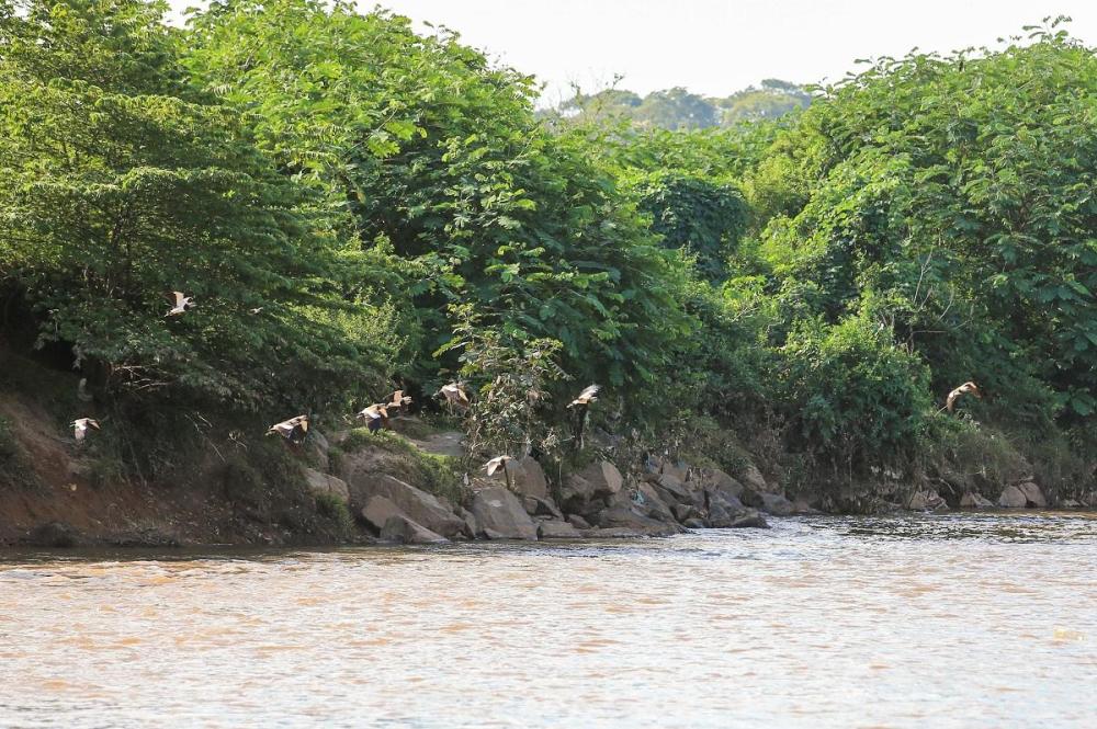 Foto: Reprodução/ O Popular 