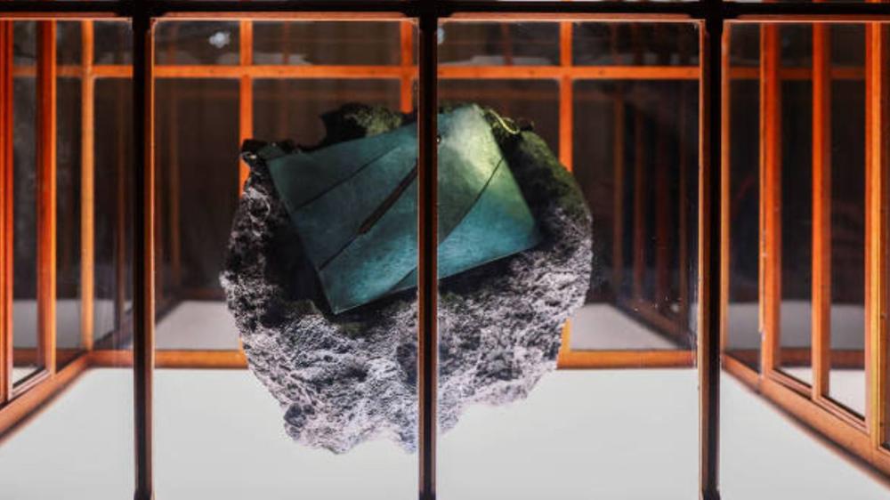 Bolsa feita com “couro de T. rex” será leiloada e gera debate científico