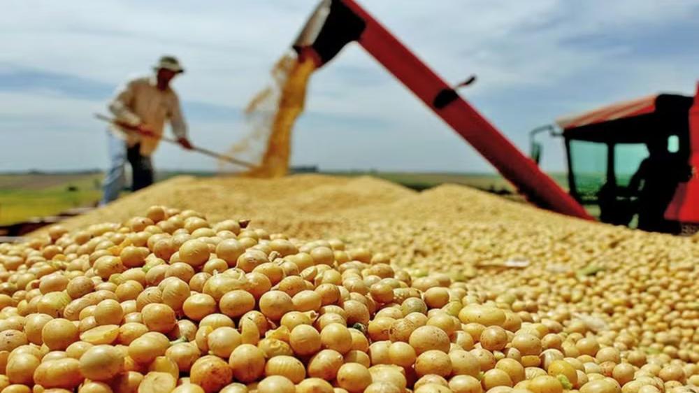 PIB do Brasil cresce 1,1% puxado pelo agro e consumo das famílias