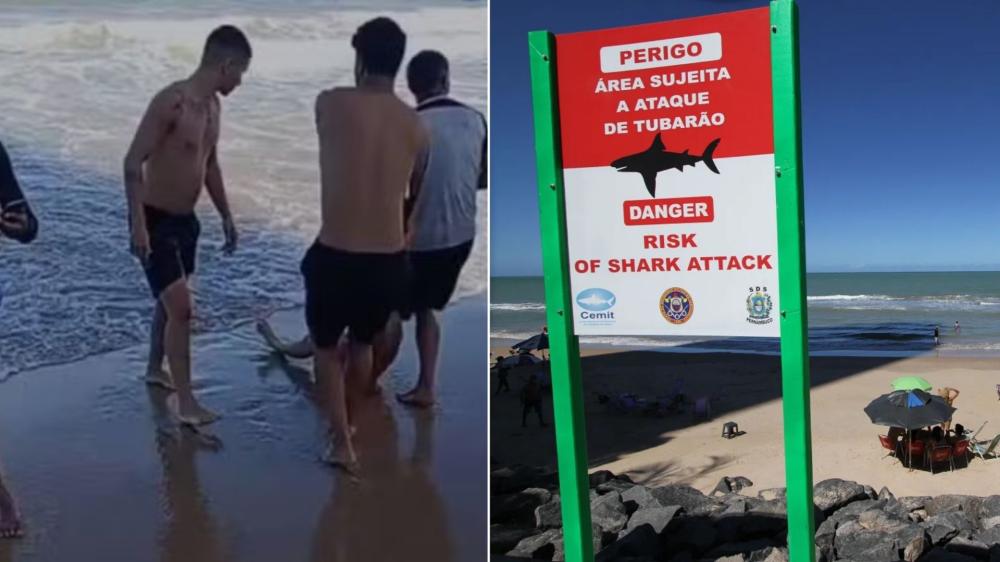 Jovem perde a perna após ataque de tubarão no Recife