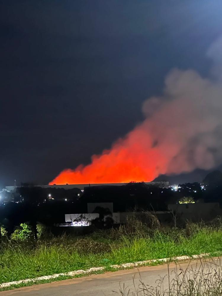 Reprodução